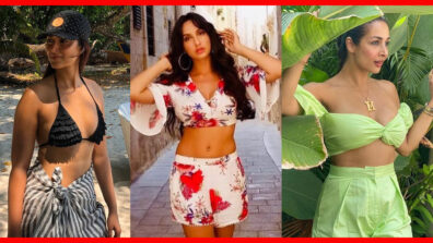 Ileana Dcruz VS Nora Fatehi VS Malaika Arora: Who Has The Hottest Belly Curves?