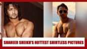 In Pics: Shaheer Shaikh’s Hottest Bare Body Looks That Always Raise The Temperature