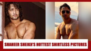 Take A Look At Shaheer Sheikh’s Shirtless Body Hunk Pictures, Raising The Temperature