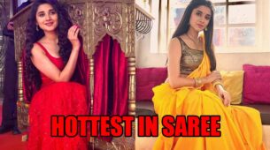 Kanika Mann In Red Or Yellow: Which Saree Does Kanika Maan Look The Hottest In?