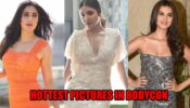 Katrina Kaif, Anushka Sharma, Tara Sutaria: Hottest pictures in bodycon dresses