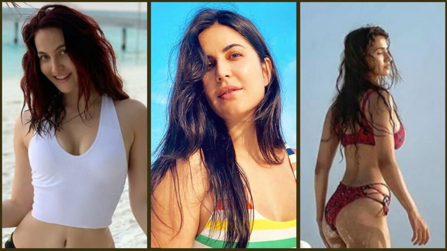 Katrina Kaif, Disha Patani, and Elli AvrRam: These Celebrity Divas Raised Temperature With Their Holiday Pics
