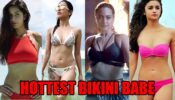 Katrina Kaif, Nushrratt Bharuccha, Sonakshi Sinha, Alia Bhatt: Who Is The Hottest Bikini Babe Of Bollywood?
