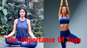 Know The Importance Of Yoga & Why You Should Practice It Every Day