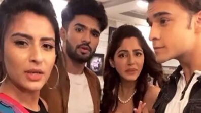 Kumkum Bhagya actors Reyhnaa Pandit, Krishna Kaul, Ashlesha Sawant and Zeeshan Khan recreate “Tuada kutta Tommy, sadda kutta kutta?”