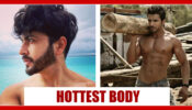 Kundali Bhagya Fame Dheeraj Dhoopar Or Manit Joura: Whose Hot Body Is Most Loved by Fans?