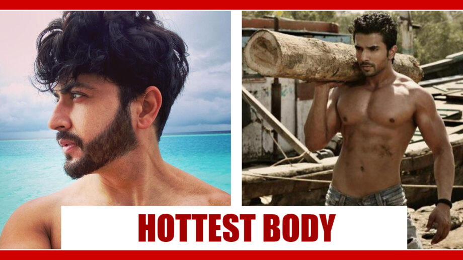 Kundali Bhagya Fame Dheeraj Dhoopar Or Manit Joura: Whose Hot Body Is Most Loved by Fans? 4