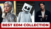 Lady Gaga VS Marshmello VS Kygo: Who Has The Best EDM Collection?