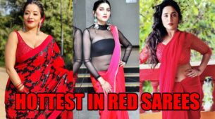 Monalisa, Sapna Chaudhary, Rani Chatterjee: Hottest in red sarees