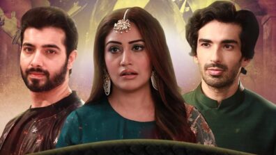 Naagin Written Update S05 Ep36 12th December 2020: Bani saves everyone from rising sea water