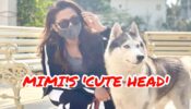 Oh So Adorable: Who is Mimi Chakraborty’s special ‘cute head’ ?