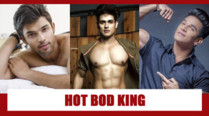 Parth Samthaan, Priyank Sharma, Prince Narula: The Hot Bod King Of TV World