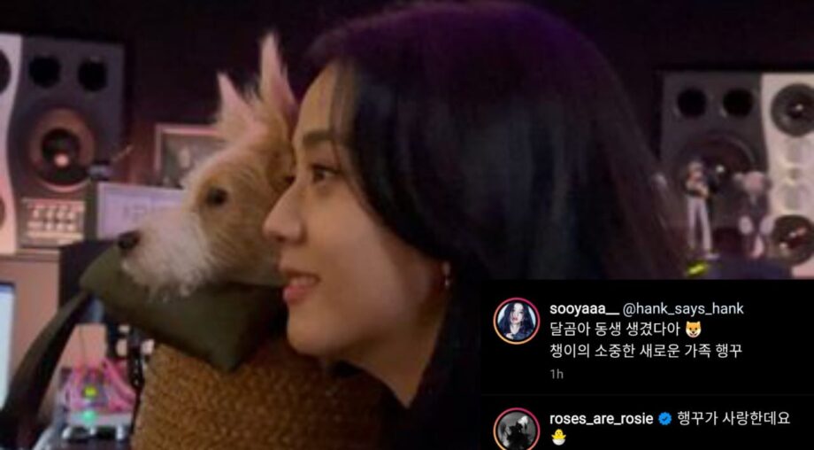 Pet Love: K Pop star Blackpink's Jisoo shares adorable video with her dog, Rose leaves an adorable comment