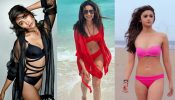 Pooja Hegde Vs Alia Bhatt Vs Rakul Preet Singh: attractive heroine in a bikini?
