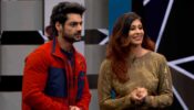 Rakhi Sawant is the most entertaining contestant inside the house: Kishwer Merchant on Bigg Boss 14
