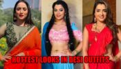 Rani Chatterjee Or Nidhi Jha Or Aamrapali Dubey: Which Diva Has The Hottest Looks In Desi Outfits?