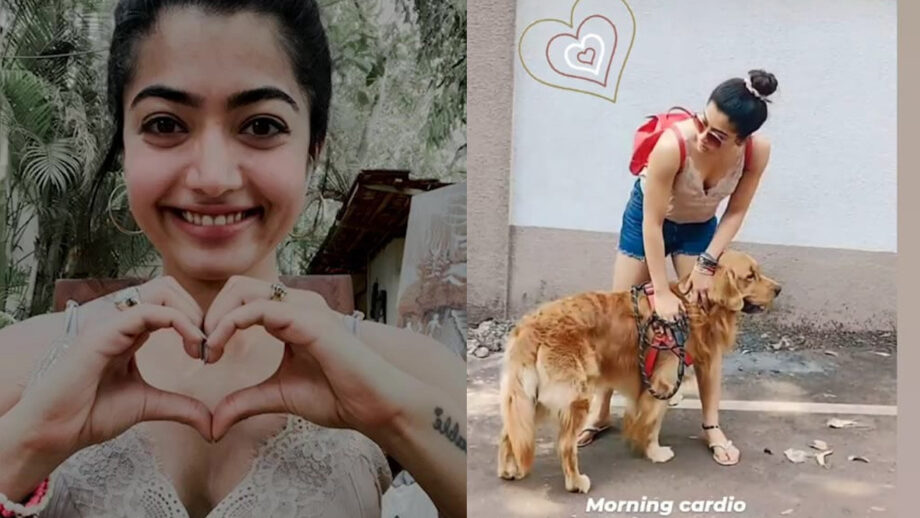 Rashmika Mandanna has a special partner for her cardio workout, find out who