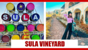 Ravishing Avneet Kaur’s Attractive Pics As She Strolls At Sula Vineyards