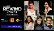 Rewind2020: 5 Scene-Stealers Of The Year