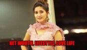 Sapna Choudhary net worth, lifestyle, love life revealed