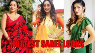 Monalisa, Rani Chatterjee, Sapna Chaudhary: Hottest saree looks