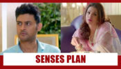 Shaadi Mubarak Spoiler Alert: KT to sense Nandini’s plan?