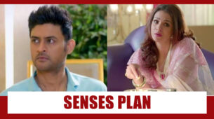Shaadi Mubarak Spoiler Alert: KT to sense Nandini’s plan?