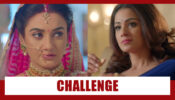 Shaadi Mubarak Spoiler Alert: Nandini throws a challenge at Preeti