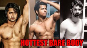 Shaheer Sheikh, Siddharth Nigam, Barun Sobti: Which TV Star Has The Hottest Bare Body Look?