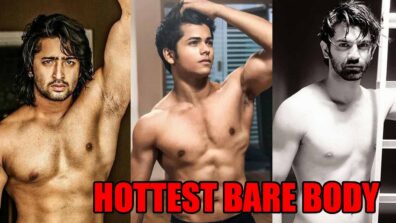 Shaheer Sheikh, Siddharth Nigam, Barun Sobti: Which TV Star Has The Hottest Bare Body Look?