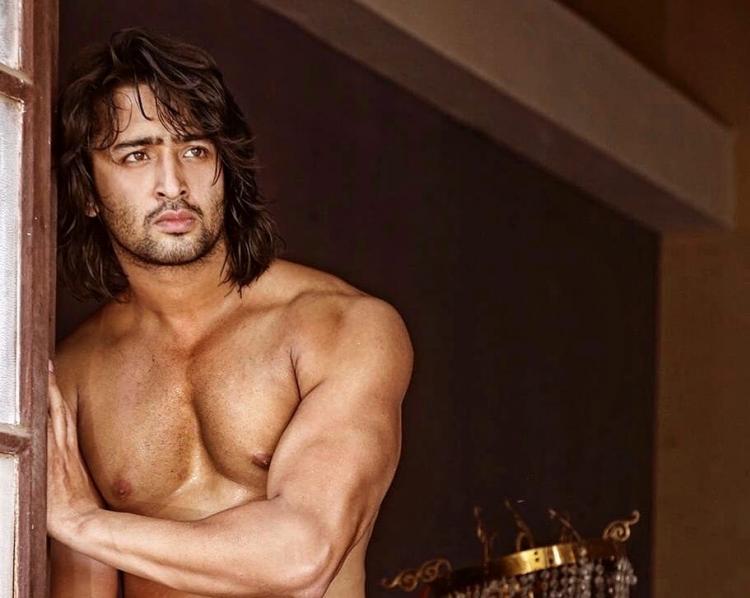 Shaheer Sheikh, Siddharth Nigam, Barun Sobti: Which TV Star Has The Hottest Bare Body Look? - 1