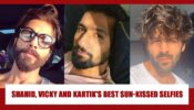 Shahid Kapoor, Vicky Kaushal, Kartik Aaryan: Attractive sun-kissed selfies