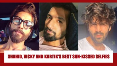 Shahid Kapoor, Vicky Kaushal, Kartik Aaryan: Attractive sun-kissed selfies