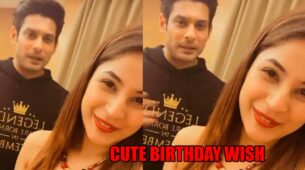 SidNaaz Moment: Shehnaaz Gill’s cute birthday wish for Sidharth Shukla will melt your heart