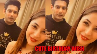 SidNaaz Moment: Shehnaaz Gill’s cute birthday wish for Sidharth Shukla will melt your heart