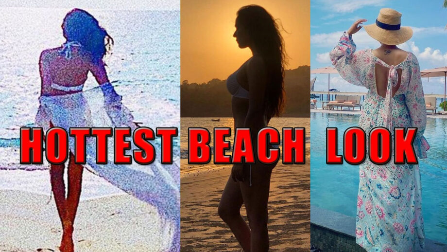 Sonal Chauhan Vs Samantha Akkineni Vs Tara Sutaria: Who's The Hottest Beach Lady?