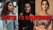 Taapsee Pannu, Ileana D’cruz To Pooja Hegde: Have A Look At The Glamorous Divas Who Rocked B-Town After Coming From South Industry