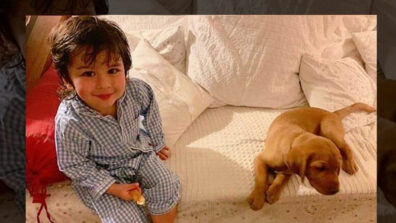 Take Care Of Your Kid & Pet Together Like A Pro: Know How?