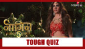 Take The Very Tough Naagin Quiz