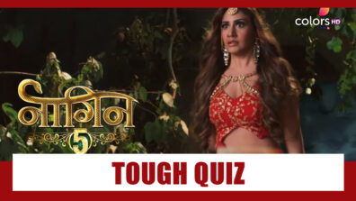 Take The Very Tough Quiz on Naagin 5