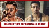 This Is What Tiger Shroff Recently Said About South Superstar Allu Arjun