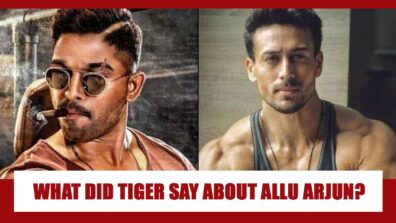 This Is What Tiger Shroff Recently Said About South Superstar Allu Arjun