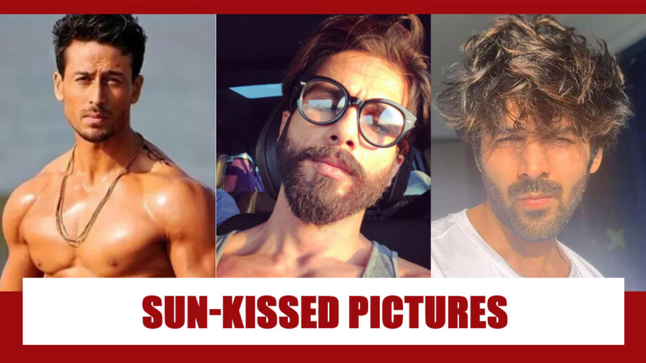 Tiger Shroff, Shahid Kapoor, Kartik Aaryan: Sun-Kissed Pictures To Make You Drool 3
