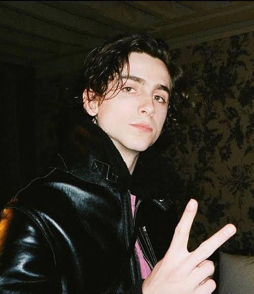 Timothee Chalamet Is Looking Oh-So-Hawt In These Throwback Photos - 1