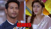 Tujhse Hai Raabta spoiler alert: Malhar scares Kalyani