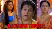 Tujhse Hai Raabta spoiler alert: OMG! Avni and Aao Saheb to get Kalyani married to an old aged man