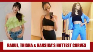 Want the perfect curves like, Rakul Preet Singh, Trisha Krishnan and Hansika Motwani? Take inspiration from these photos below