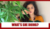 What Is Drashti Dhami Doing These Days? Find Out