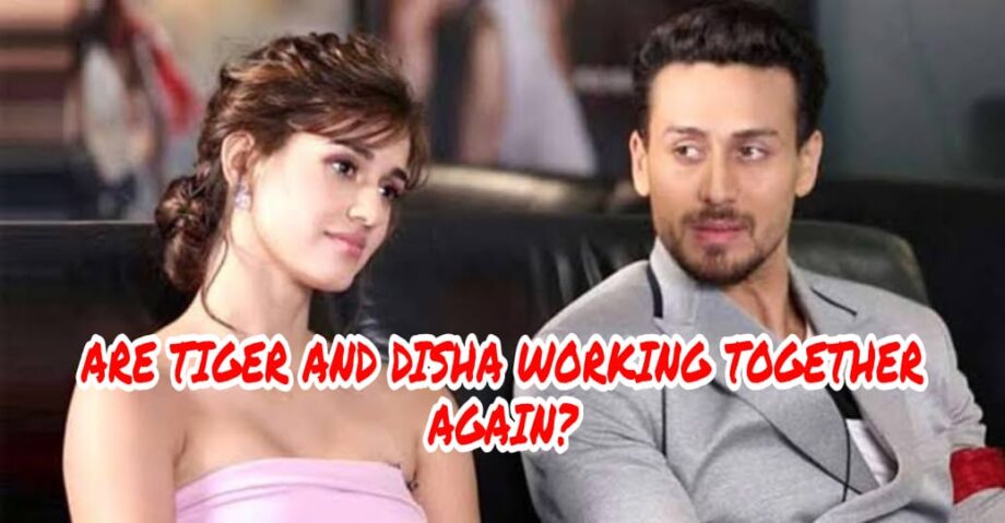 WOW: Are Tiger Shroff and Disha Patani coming together in a film again? Know The Actual Story