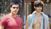 Yeh Rishta Kya Kehlata Hai Fame Mohsin Khan Or Rohan Mehra: Which Star Has the Perfect Ripped Hot Body?